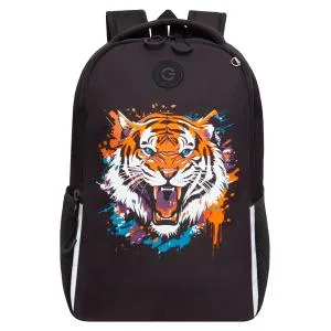 /catalog/rb_551_7_ryukzak_shkolnyy/