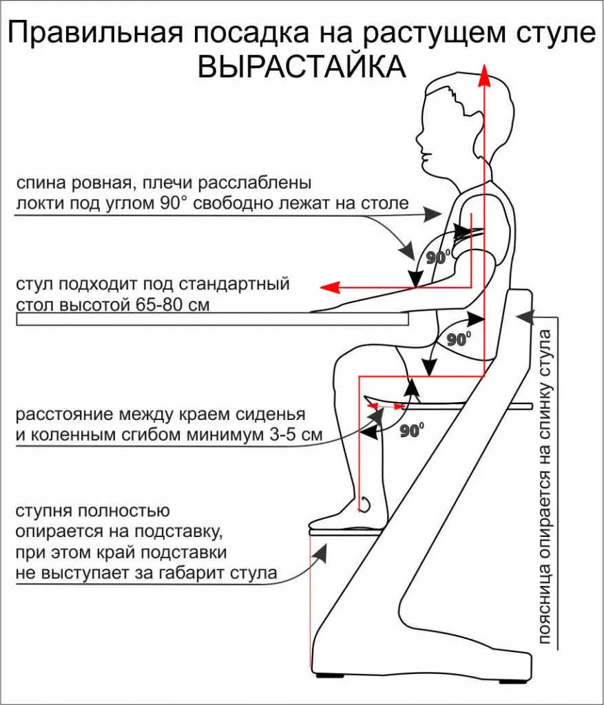 4342.jpg 4342.jpg